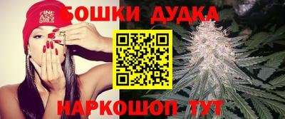 PSILOCYBIN Конаково